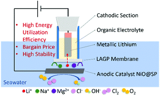 Graphical abstract: A low-cost anodic catalyst of transition metal oxides for lithium extraction from seawater