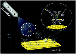 Graphical abstract: Electrospray ionization: an efficient approach to deposit polymetallic molecular switches onto gold surfaces