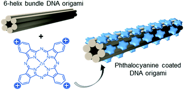 Graphical abstract: Phthalocyanine–DNA origami complexes with enhanced stability and optical properties