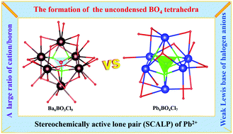 Graphical abstract: Ba6BO3Cl9 and Pb6BO4Cl7: structural insights into ortho-borates with uncondensed BO4 tetrahedra