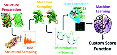 Graphical abstract: Rosetta custom score functions accurately predict ΔΔG of mutations at protein–protein interfaces using machine learning