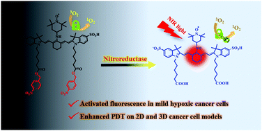 Graphical abstract: A nitroreductase-activatable near-infrared theranostic photosensitizer for photodynamic therapy under mild hypoxia