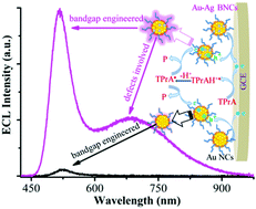 Graphical abstract: Mechanistic investigations into synergistically enhanced radiative-charge-transfer in Au–Ag bimetallic nanoclusters