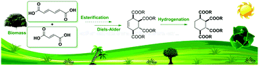 Graphical abstract: Sustainable synthesis of 1,2,3,4-cyclohexanetetracarboxylate from sugar-derived carboxylic acids