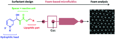 Graphical abstract: Stable liquid foams from a new polyfluorinated surfactant