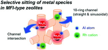 Graphical abstract: Metal cation-exchanged zeolites with the location, state, and size of metal species controlled