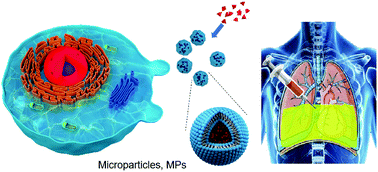 Graphical abstract: Cellular microparticles for tumor targeting delivery: from bench to bedside