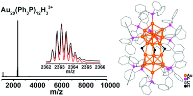 Graphical abstract: Ultrastable hydrido gold nanoclusters with the protection of phosphines
