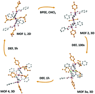 Graphical abstract: An N,N′-diethylformamide solvent-induced conversion cascade within a metal–organic framework single crystal