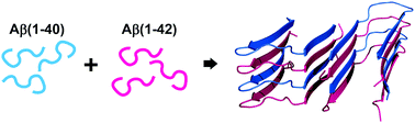 Graphical abstract: Mixing Aβ(1–40) and Aβ(1–42) peptides generates unique amyloid fibrils