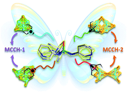 Graphical abstract: Constructing multi-cluster copper(i) halides using conformationally flexible ligands