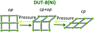 Graphical abstract: Single particle Raman spectroscopy analysis of the metal–organic framework DUT-8(Ni) switching transition under hydrostatic pressure