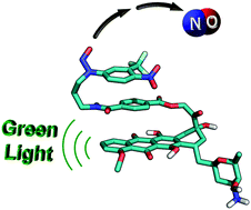 Graphical abstract: NO release regulated by doxorubicin as the green light-harvesting antenna