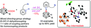 Graphical abstract: Ir-catalyzed selective dehydrogenative cross-coupling of aryls with o-carboranes via a mixed directing-group strategy