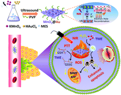 Graphical abstract: Oxygen vacancy-enhanced photothermal performance and reactive oxygen species generation for synergistic tumour therapy