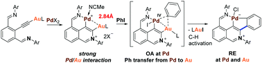 Graphical abstract: Pd-Promoted cross coupling of iodobenzene with vinylgold via an unprecedented phenyl transmetalation from Pd to Au