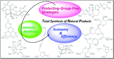 Graphical abstract: Advances in catalytic and protecting-group-free total synthesis of natural products: a recent update