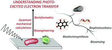 Graphical abstract: Advancing the fundamental understanding and practical applications of photo-bioelectrocatalysis