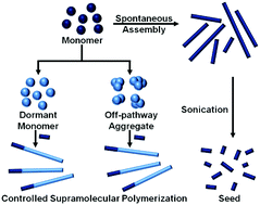 Graphical abstract: Controlled supramolecular polymerization of π-systems