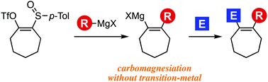 Graphical abstract: Synthesis of multisubstituted cycloalkenes through carbomagnesiation of strained cycloalkynes