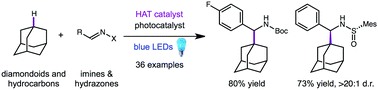 Graphical abstract: Synthesis of amino-diamondoid pharmacophores via photocatalytic C–H aminoalkylation