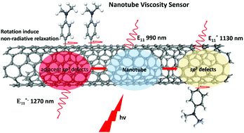 Graphical abstract: Viscosity sensitive near-infrared fluorescent probes based on functionalized single-walled carbon nanotubes