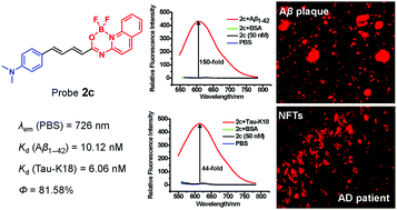 Graphical abstract: N,O-Benzamide difluoroboron complexes as near-infrared probes for the detection of β-amyloid and tau fibrils