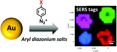 Graphical abstract: Raman reporters derived from aryl diazonium salts for SERS encoded-nanoparticles
