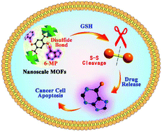 Graphical abstract: Glutathione-responsive nanoscale MOFs for effective intracellular delivery of the anticancer drug 6-mercaptopurine