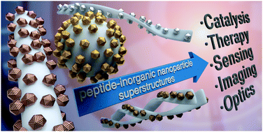 Graphical abstract: Self-assembled peptide–inorganic nanoparticle superstructures: from component design to applications