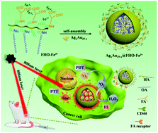 Graphical abstract: A structurally precise AgxAu25−x nanocluster based cancer theranostic platform with tri-targeting/in situ O2-generation/aggregation enhanced fluorescence imaging/photothermal–photodynamic therapies