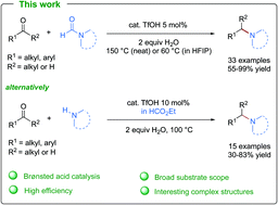 Graphical abstract: Synthesis of tertiary amines by direct Brønsted acid catalyzed reductive amination
