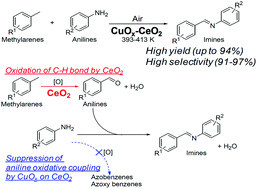 Graphical abstract: One-pot imine synthesis from methylarenes and anilines under air over heterogeneous Cu oxide-modified CeO2 catalyst