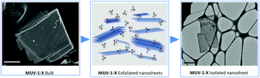 Graphical abstract: 2D magnetic MOFs with micron-lateral size by liquid exfoliation