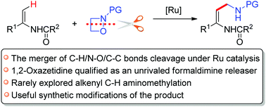 Graphical abstract: Merging alkenyl C–H activation with the ring-opening of 1,2-oxazetidines: ruthenium-catalyzed aminomethylation of enamides