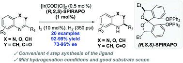 Graphical abstract: Exploration of chiral diastereomeric spiroketal (SPIROL)-based phosphinite ligands in asymmetric hydrogenation of heterocycles