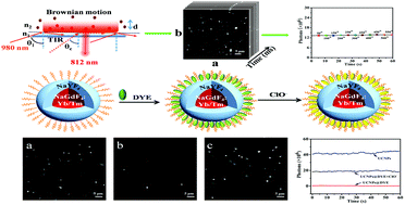 Graphical abstract: A near-infrared upconversion luminescence total internal reflection platform for quantitative image analysis
