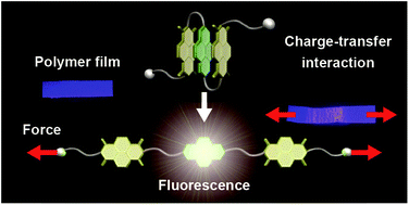 Graphical abstract: Fluorescent supramolecular mechanophores based on charge-transfer interactions