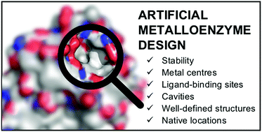 Graphical abstract: Proteins as diverse, efficient, and evolvable scaffolds for artificial metalloenzymes