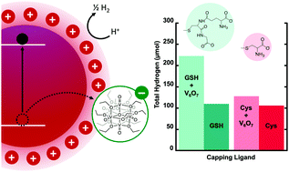 Graphical abstract: Enhancing the activity of photocatalytic hydrogen evolution from CdSe quantum dots with a polyoxovanadate cluster