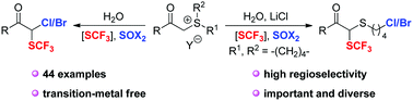 Graphical abstract: Practical and regioselective halo-trifluoromethylthiolation of sulfur ylides