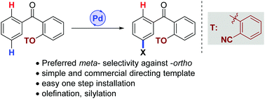 Graphical abstract: Overriding ortho selectivity by template assisted meta-C–H activation of benzophenones