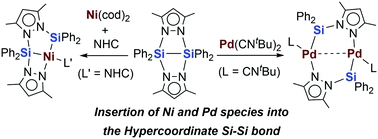 Graphical abstract: Insertion of Ni(0) and Pd(0) precursors into the Si–Si bond of a disilane with two hypercoordinate silicon atoms