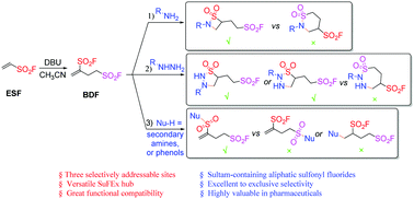 Graphical abstract: But-3-ene-1,3-disulfonyl difluoride (BDF): a highly selective SuFEx clickable hub for the quick assembly of sultam-containing aliphatic sulfonyl fluorides