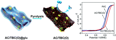 Graphical abstract: Embedding activated carbon nanospheres into polymer-derived porous carbon networks to boost electrocatalytic oxygen reduction