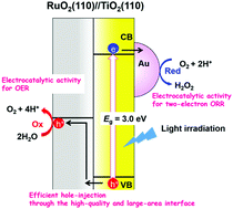 Graphical abstract: Hydrogen peroxide synthesis from water and oxygen using a three-component nanohybrid photocatalyst consisting of Au particle-loaded rutile TiO2 and RuO2 with a heteroepitaxial junction