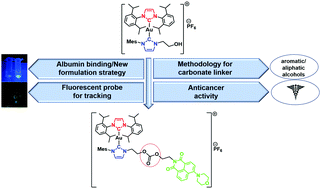Graphical abstract: Toward multifunctional anticancer therapeutics: post-synthetic carbonate functionalisation of asymmetric Au(i) bis-N-heterocyclic carbenes