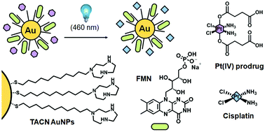 Graphical abstract: Toward supramolecular nanozymes for the photocatalytic activation of Pt(iv) anticancer prodrugs