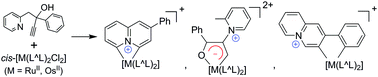 Graphical abstract: Conventional and unconventional alkyne activations by Ru and Os for unprecedented dimetalated quinolizinium complexes