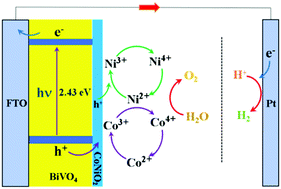 Graphical abstract: CoNiO2 as a novel water oxidation cocatalyst to enhance PEC water splitting performance of BiVO4